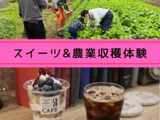 58カフェでのスイーツセットと収穫体験のお得なセットプラン!収穫体験後は涼しい店内でのんびりカフェタイム