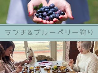 58ロハスキッチンでのビュッフェランチとブルーベリー狩りのお得なセットプラン!レストランはワンちゃんと利用する事も出来ます