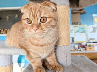 ぴちぴちの元気いっぱい「きみちゃん」