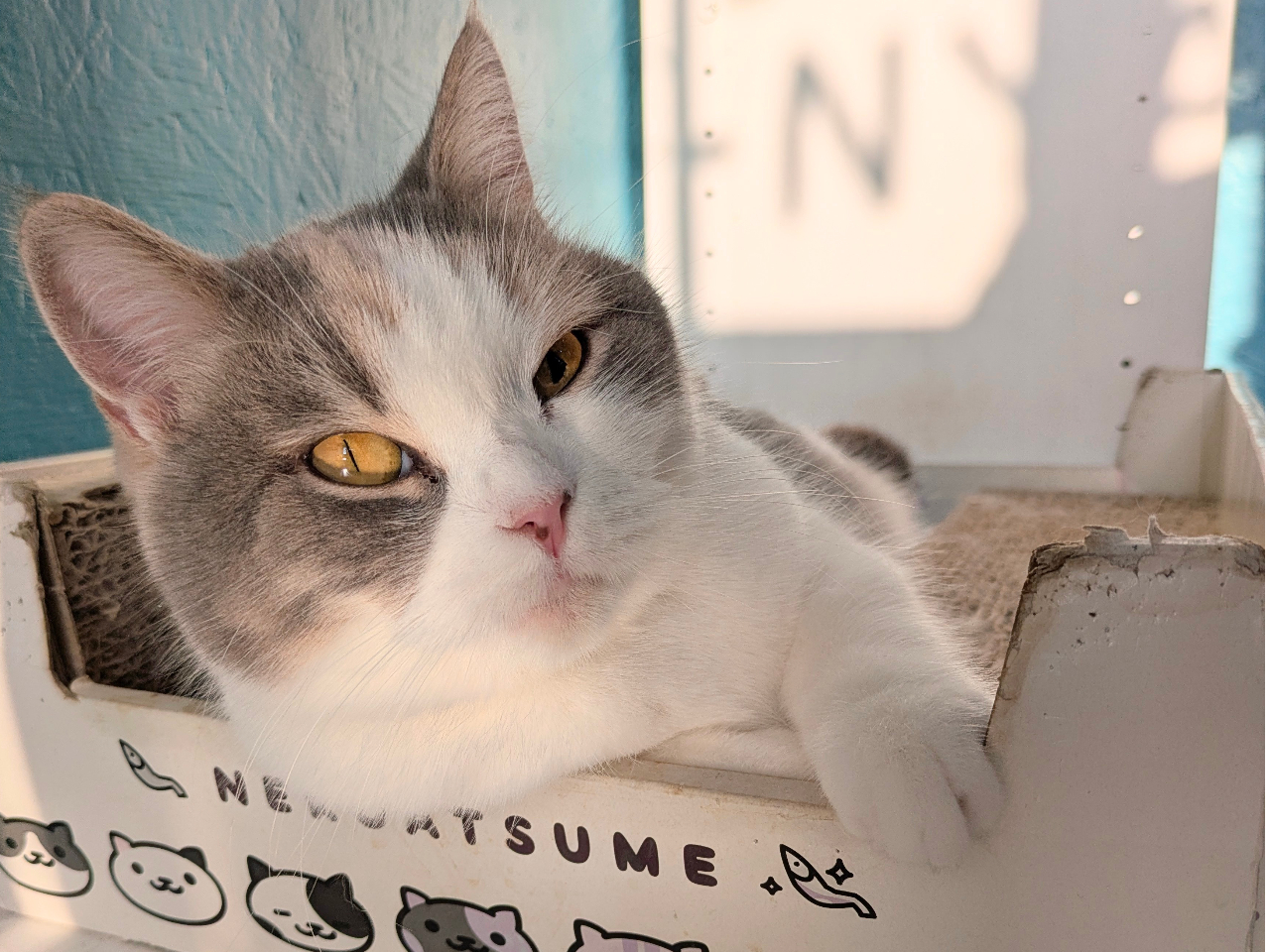 じゃらん限定！【平日限定！おやつタイム体験付プラン☆60分コース＋