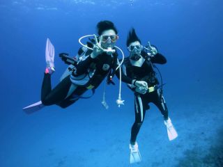 海では魚が見れますよ