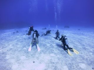 海では魚が見れますよ