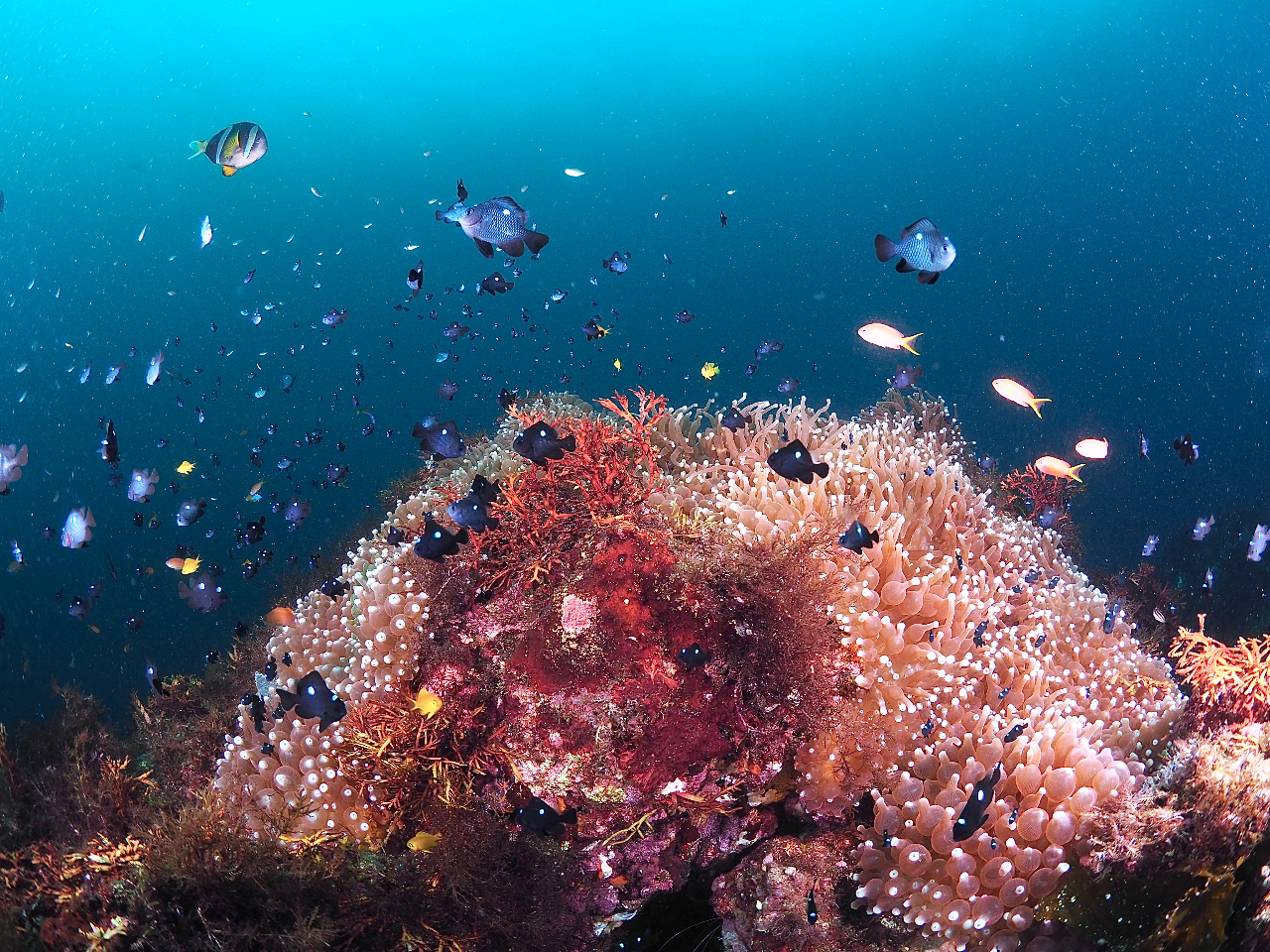 哇iH̕lj[11i6E2023j