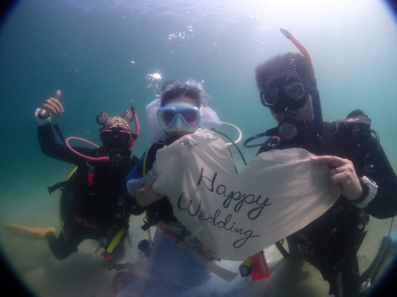 }cA[Ȃ̂ŃNGXgchud }I