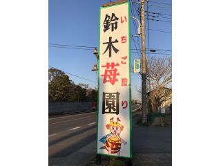 1/16~3/24【5~6品種食べ比べ】\入園時の消毒・検温と換気でコロナ対策しています/希少品種も栽培中♪≪いちご狩り40分間食べ放題|山武いちごロード沿い≫