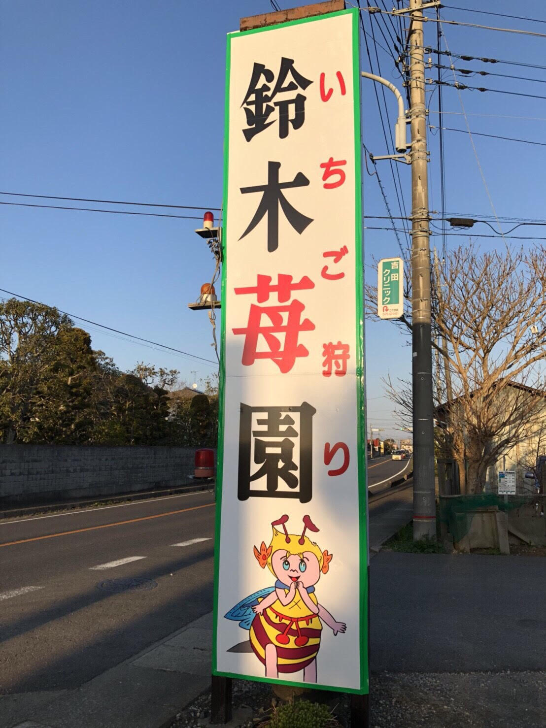 1/5~2/28【5~8品種食べ比べ】希少品種も栽培中♪≪いちご狩り40分間食べ...