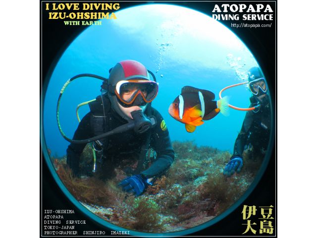 体験ダイビング・クマノミと仲良く