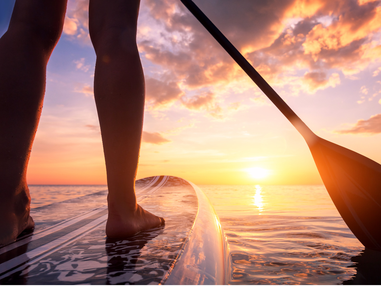 �厩�R���J���b�N�ł������Ɗy��������