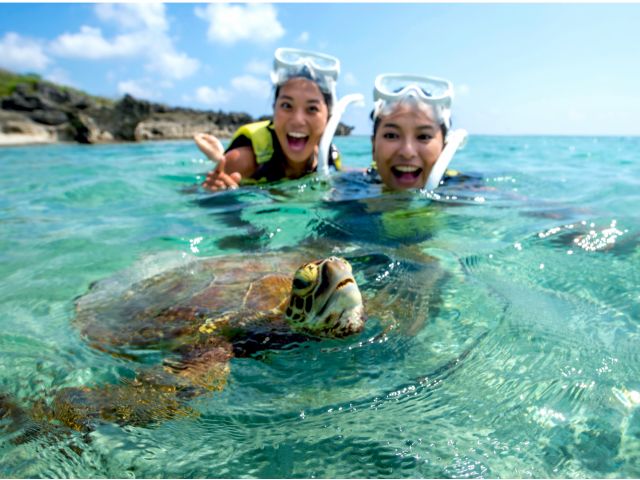可愛いウミガメとの遭遇率は98%!
