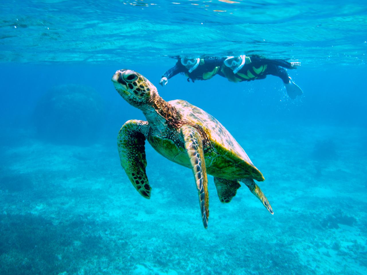 �����E�~�K���Ƃ̑�������98%�I