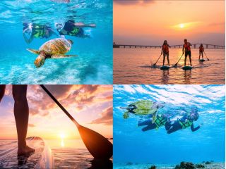 お得なセットで2倍楽しもう!