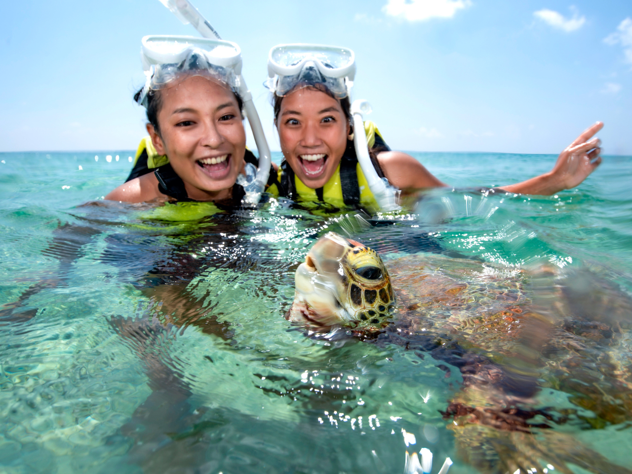 2�V���b�g�̃`�����X���Q�{�ł���