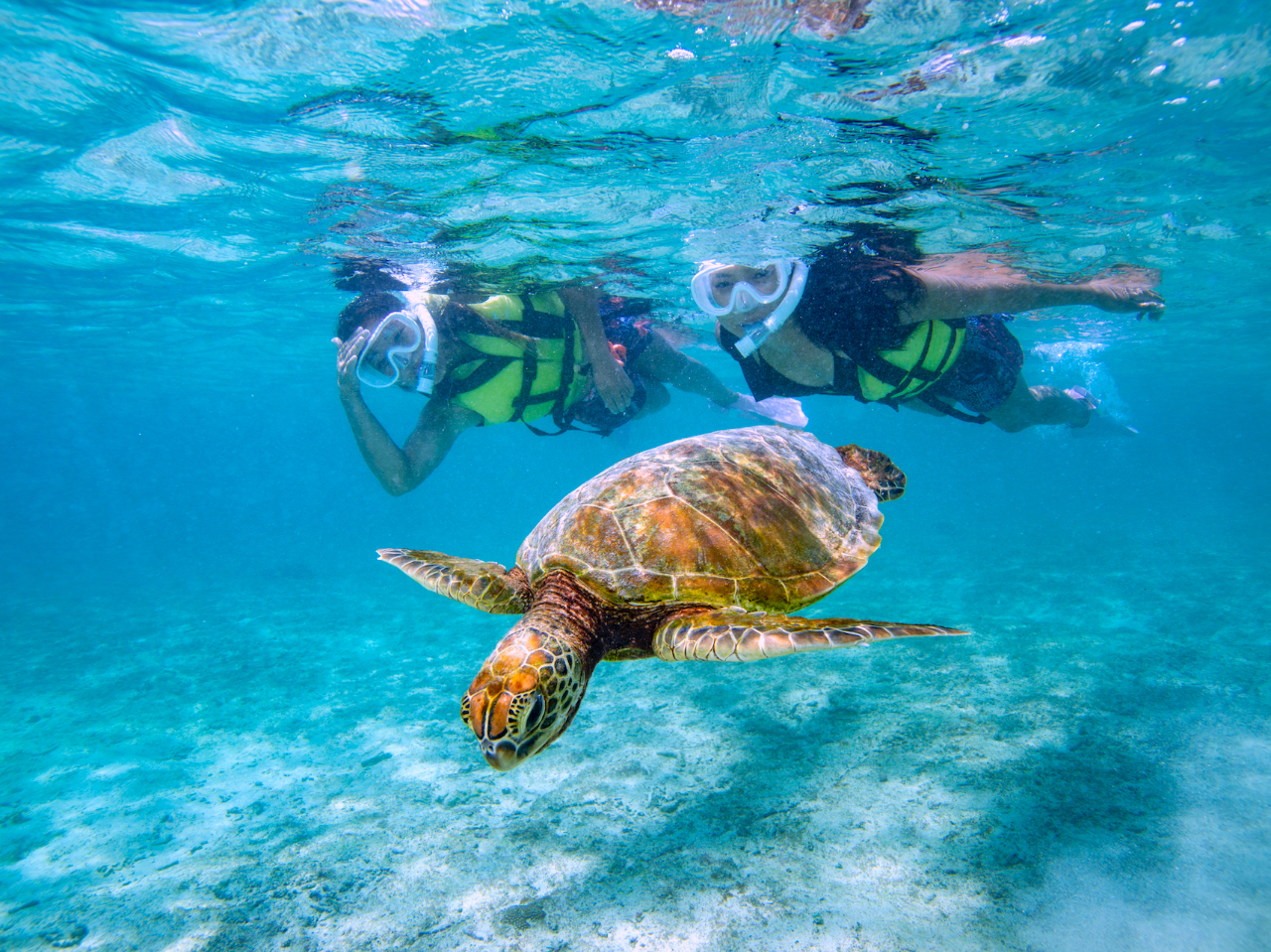 ������E�~�K���������Ȃ������ꍇ�́u�ă`�������W�����v�ɂđΉ��������܂��B