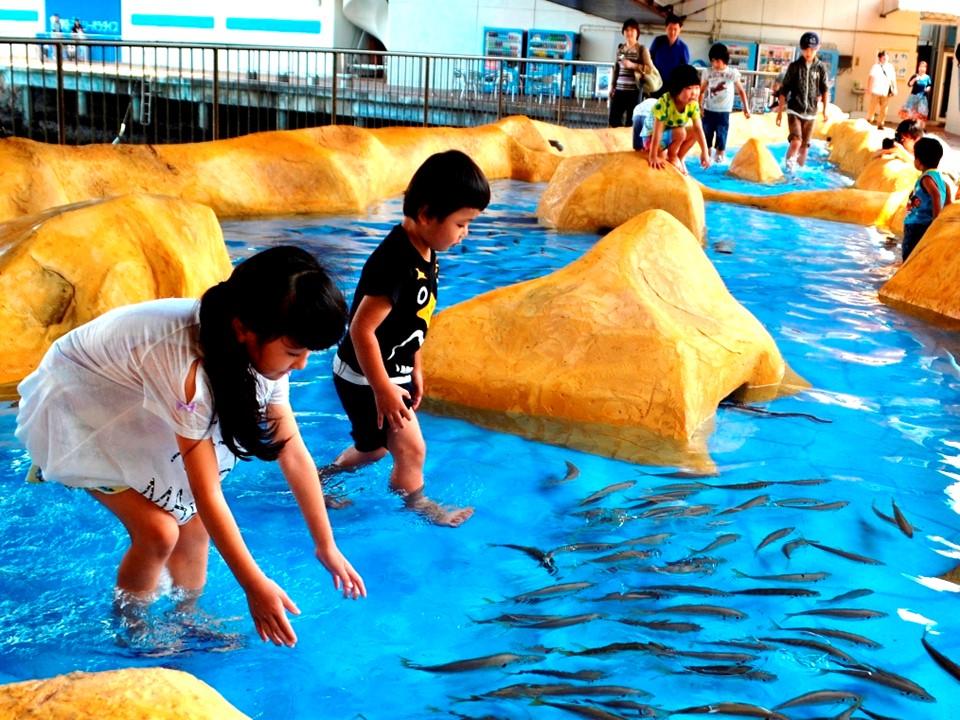 yс`zԔGK{IlC̋ƗVׂ鐅Vуv[I^I⒅ւpӂ