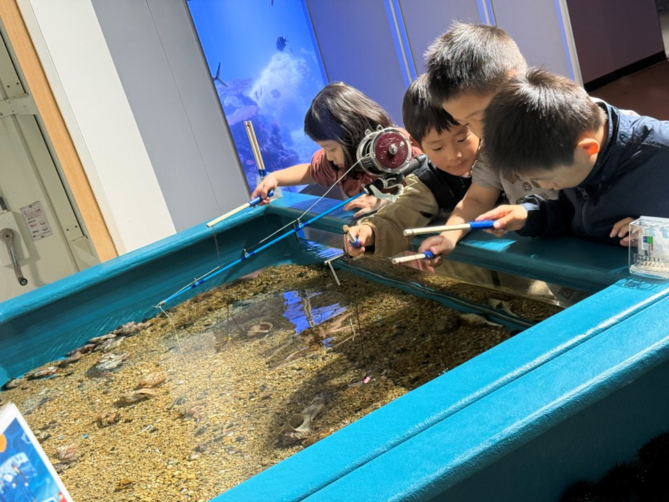 伊豆×水族館体験】＼遊ぶ！学ぶ！ふれる！がいっぱい／最大200円割引