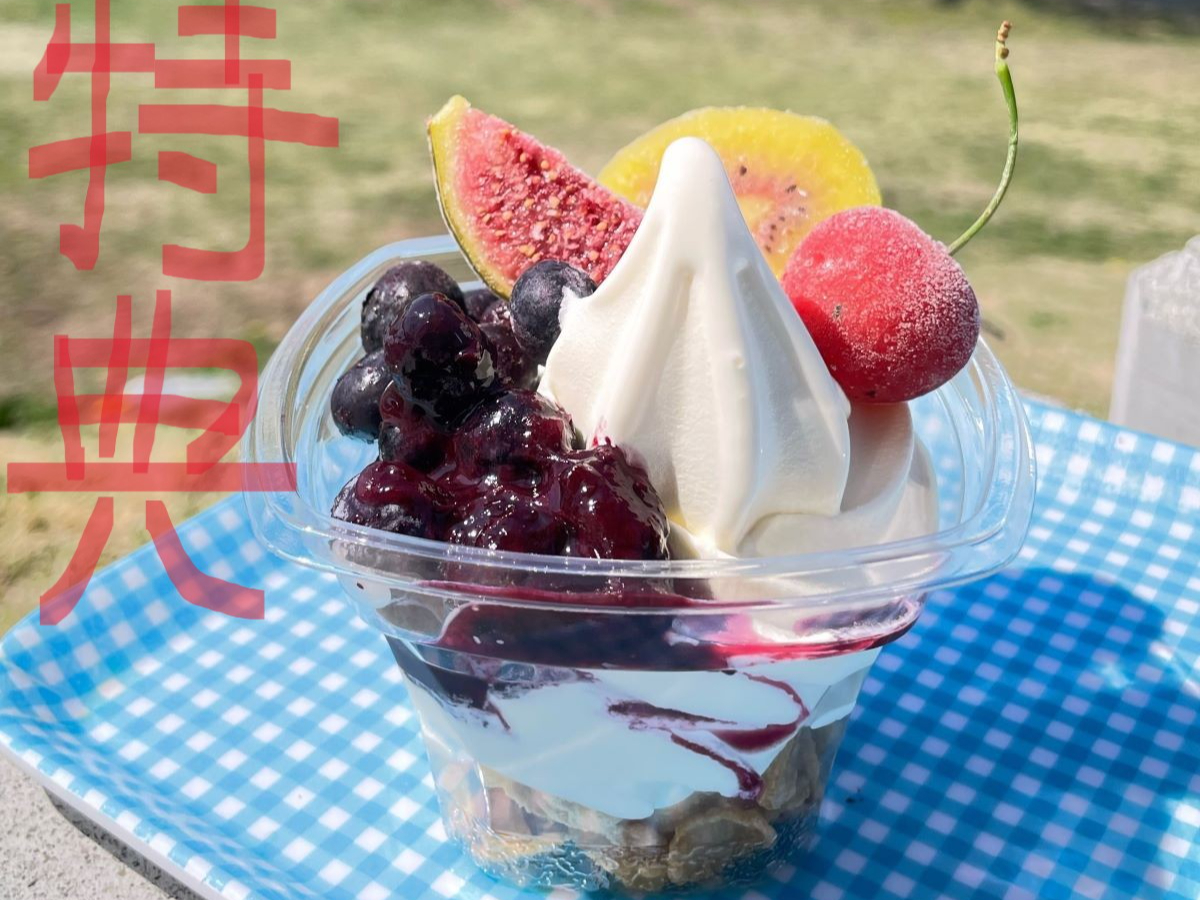 ���T�t�@�@�@�Ԃׂ�[�\�t�g