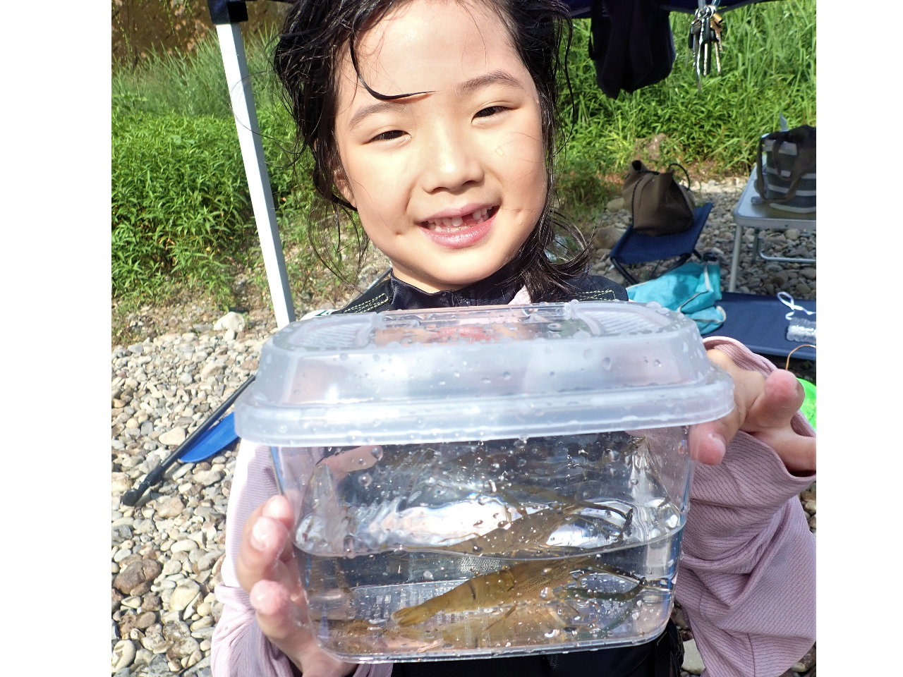 傫ȃeiKGrQbgIŕ߂܂Ɗ