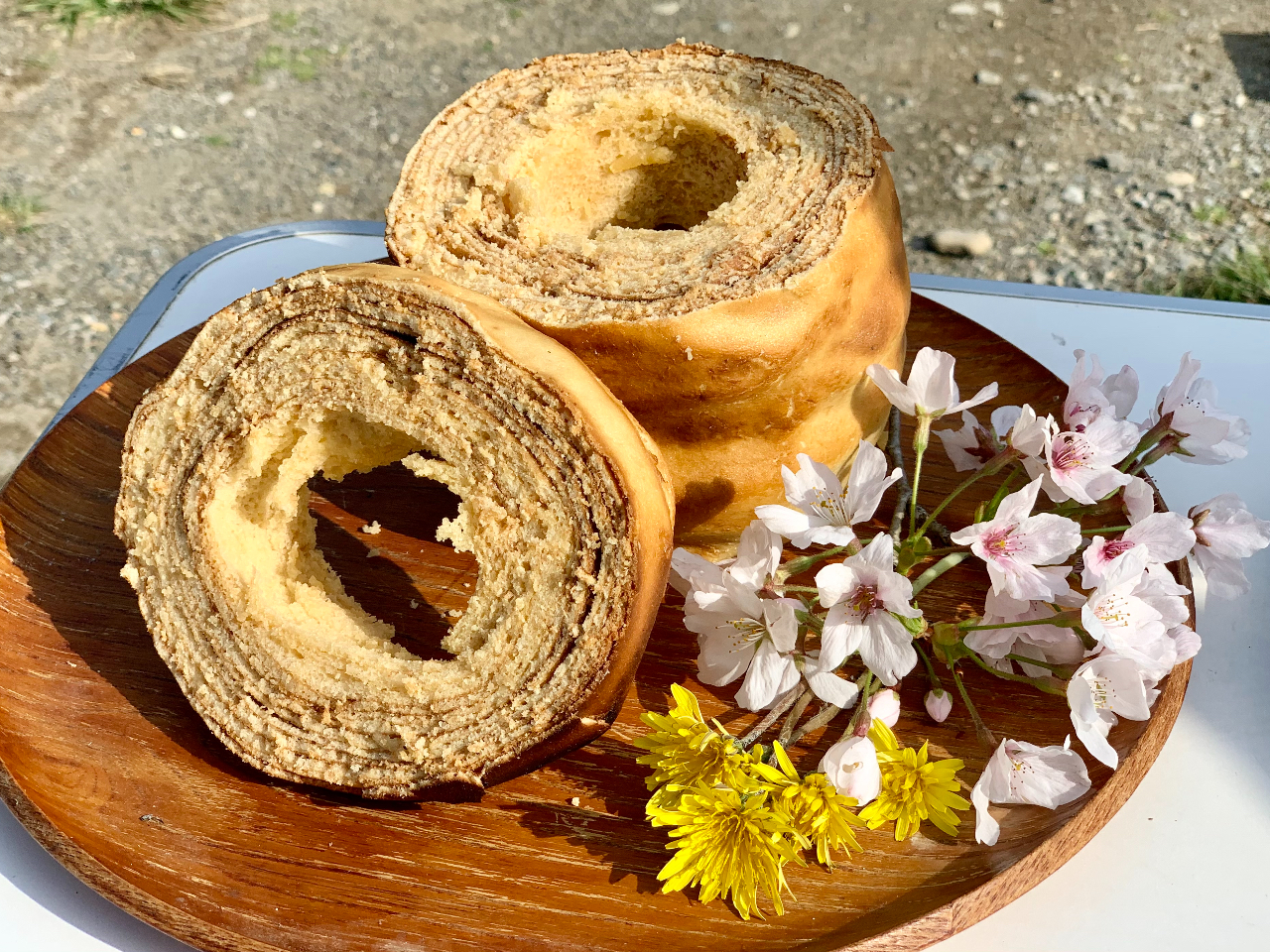 【四国・徳島 ファミリー】わくわく!竹でバームクーヘンづくり*竹を切るところから...