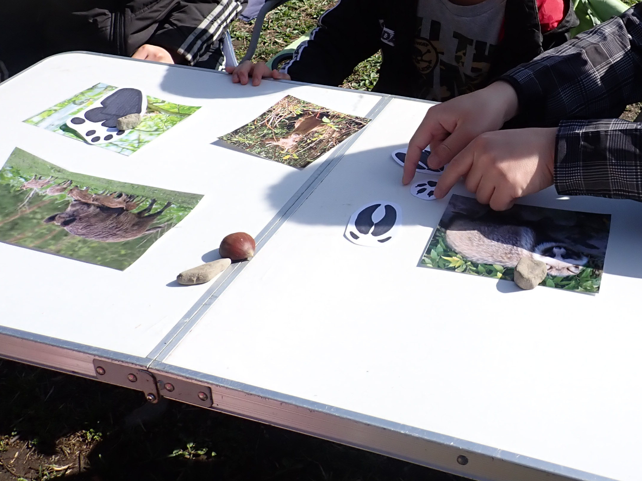 どれだけ動物を知っているか!?クイズを通して、動物の生態を学びます