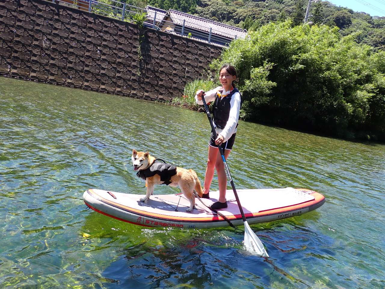 【徳島・SUP】【早朝・ペットOK!】お手軽でゆったり!早朝リバーSUP体験★