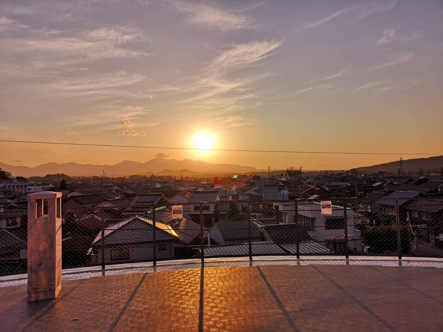 ���ォ��q�g�̒��߂���]�ł��܂��B�^�悭�����Η[�z���Y��ł��B