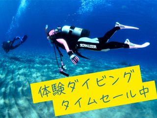 穏やかな海でゆったりとダイビング体験ができます