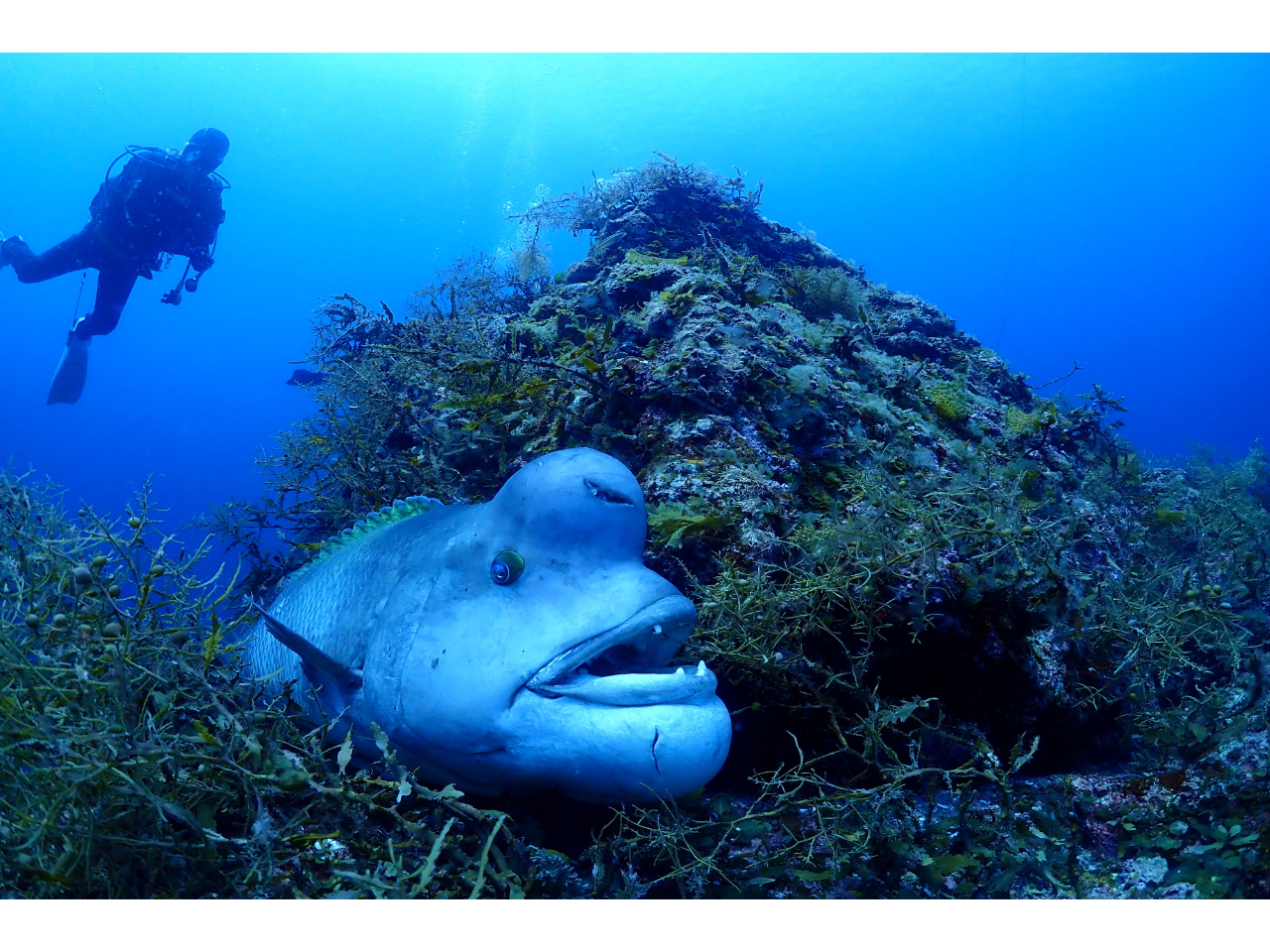 6㔼`7OɂẮARu_C̎YBkYł͌꒣葈ώ@ł܂B