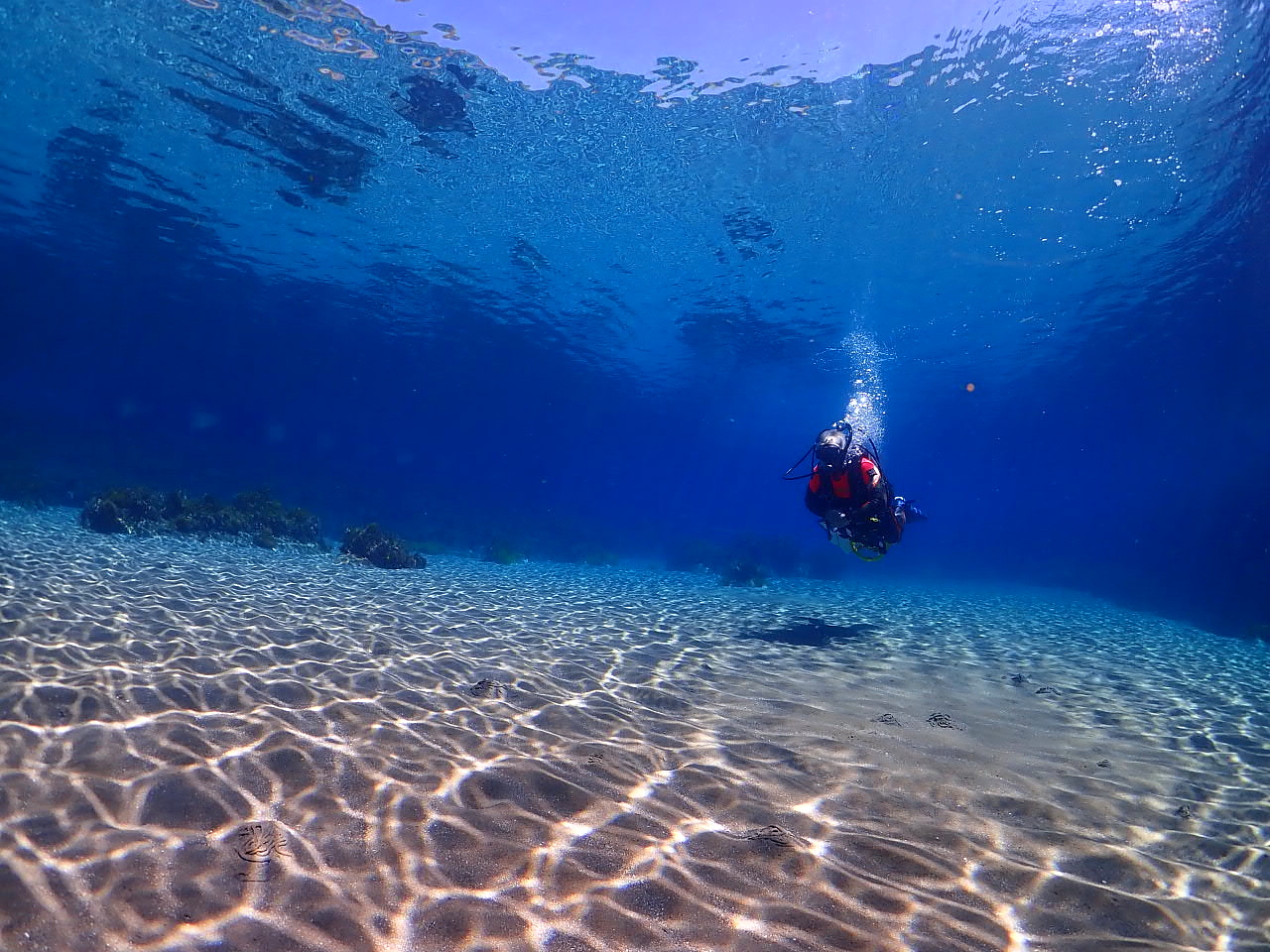 水中を滑るように移動できます