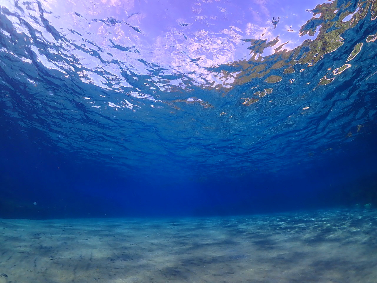 透明度抜群の海