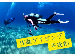 穏やかな海でゆったりとダイビング体験ができます