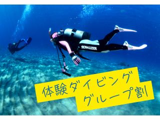 穏やかな海でゆったりとダイビング体験ができます