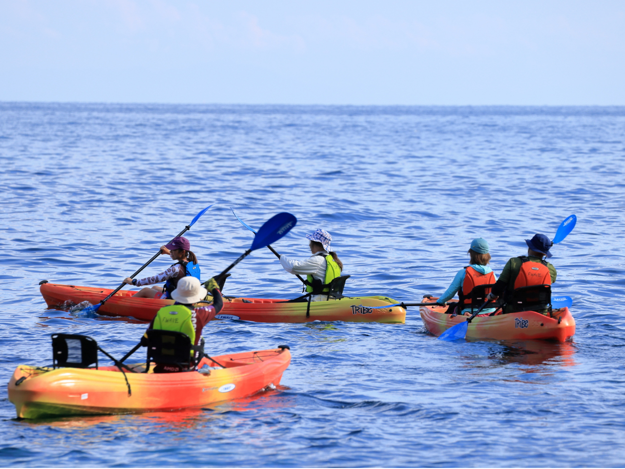 lŁAy[Xɍ킹čœKȃR[XēB