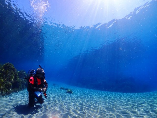 透明度抜群の海