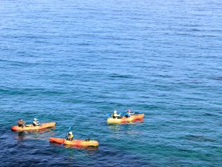 シーカヤックと体験ダイビングを一日で楽しめます