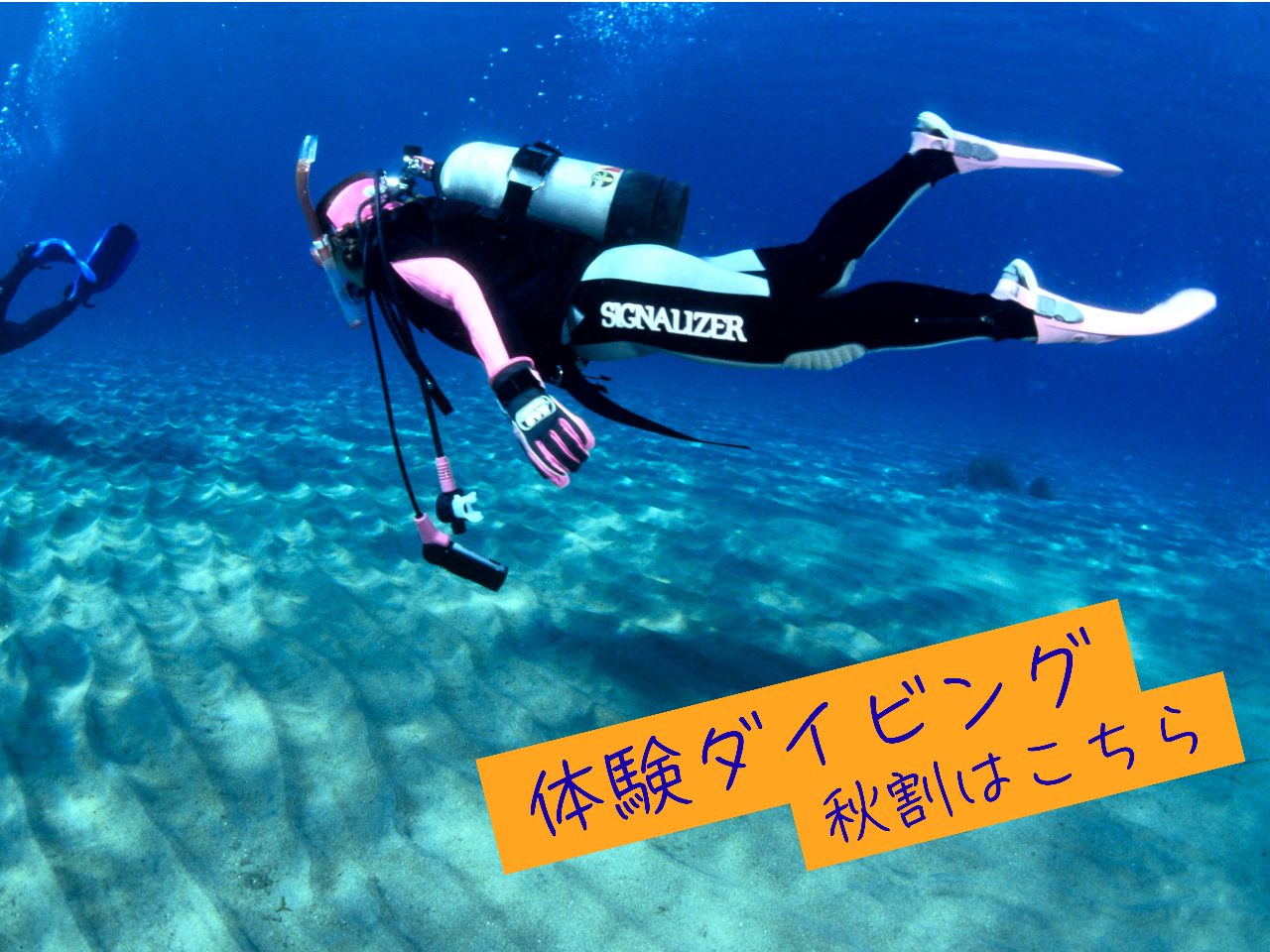 ���₩�ȊC�ł������ƃ_�C�r���O�̌����ł��܂�