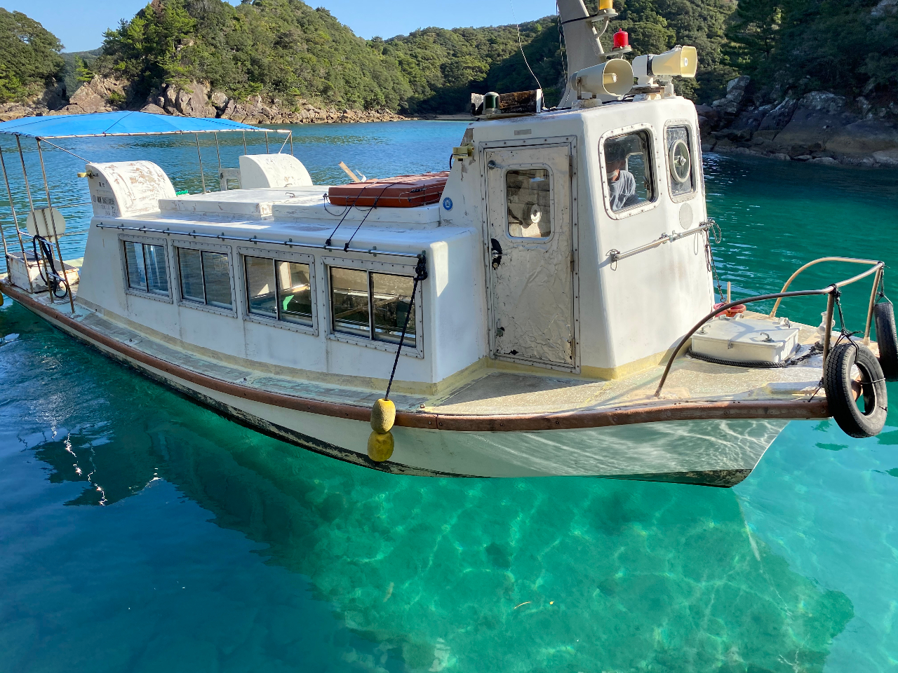 ぐるっと竜串」を楽しもうー！【竜串グラスボート乗船とご昼食（地元