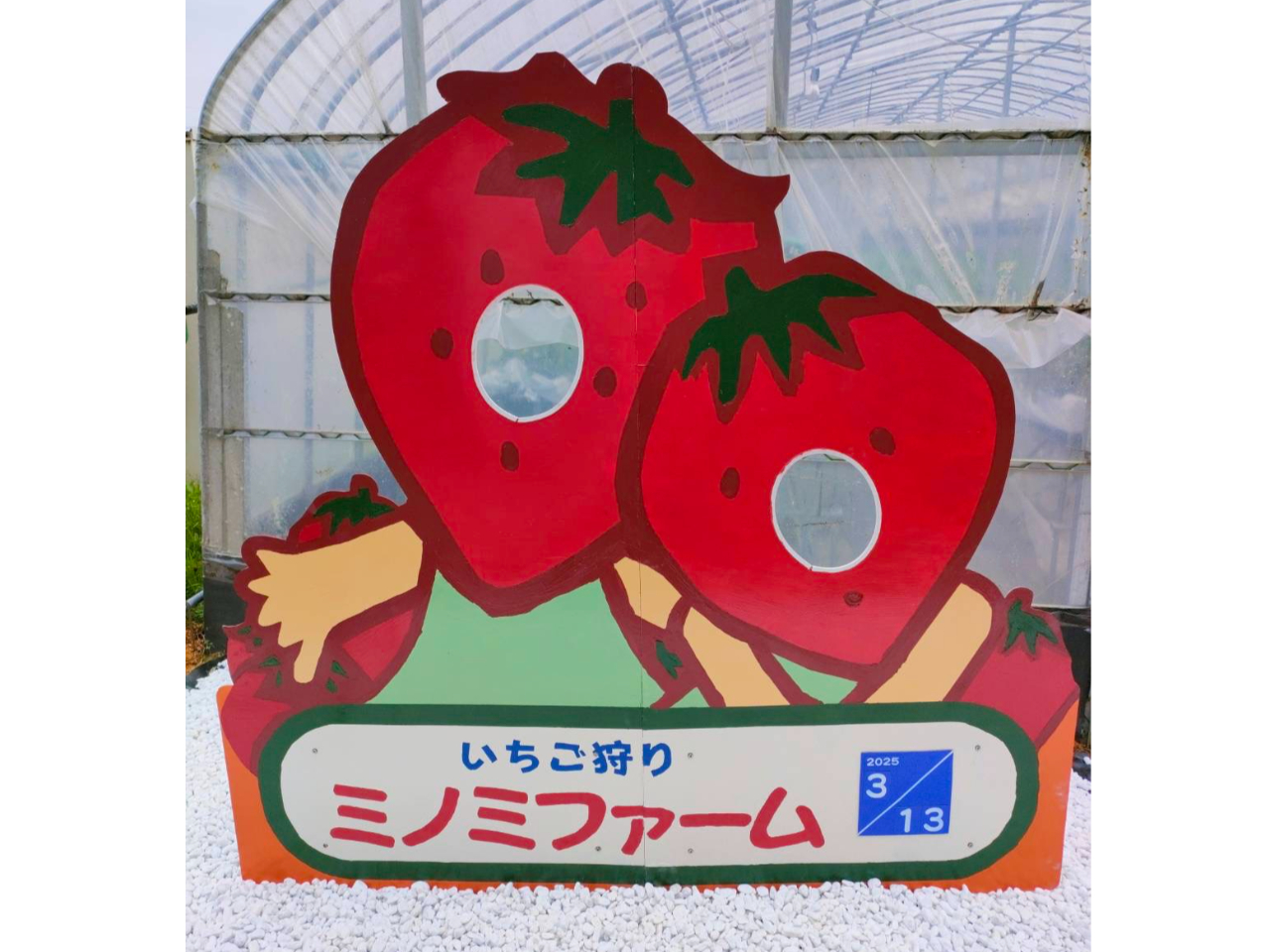 2026年\いちご狩り50分食べ放題プラン/ミノミファームのこだわりいちご◆さち...