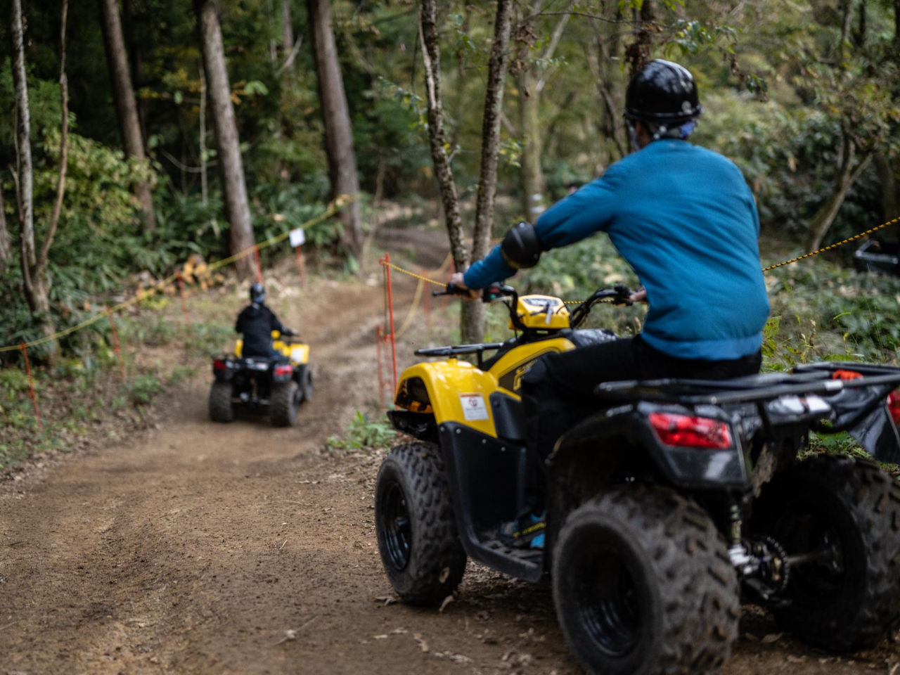 �����S������Ђ̎ʐ^2