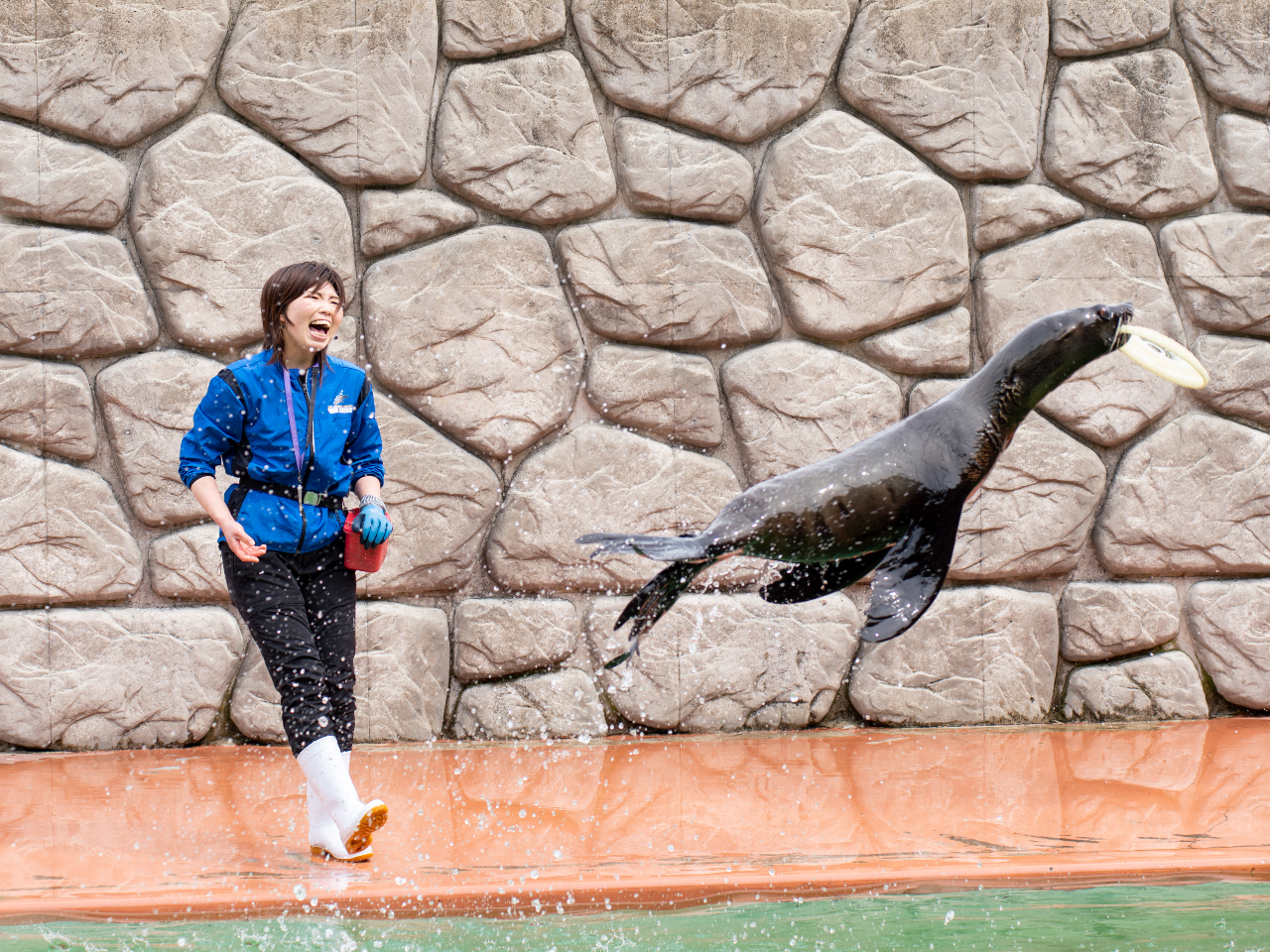 ~i~IbgZC̔͂ptH[}XItbp[YI