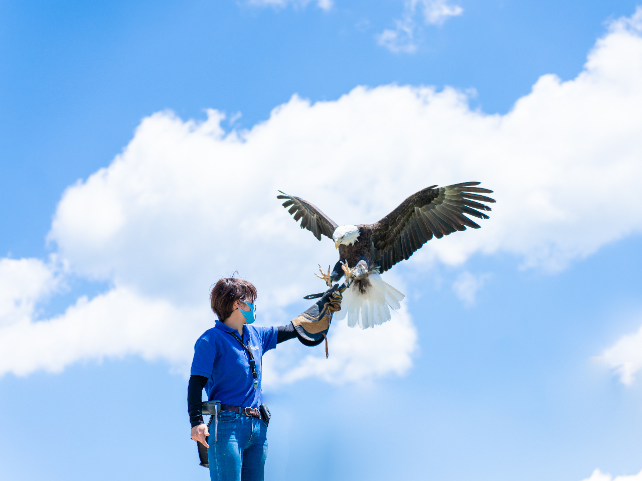 nNgEVoꂷlC̃V[uu[hv