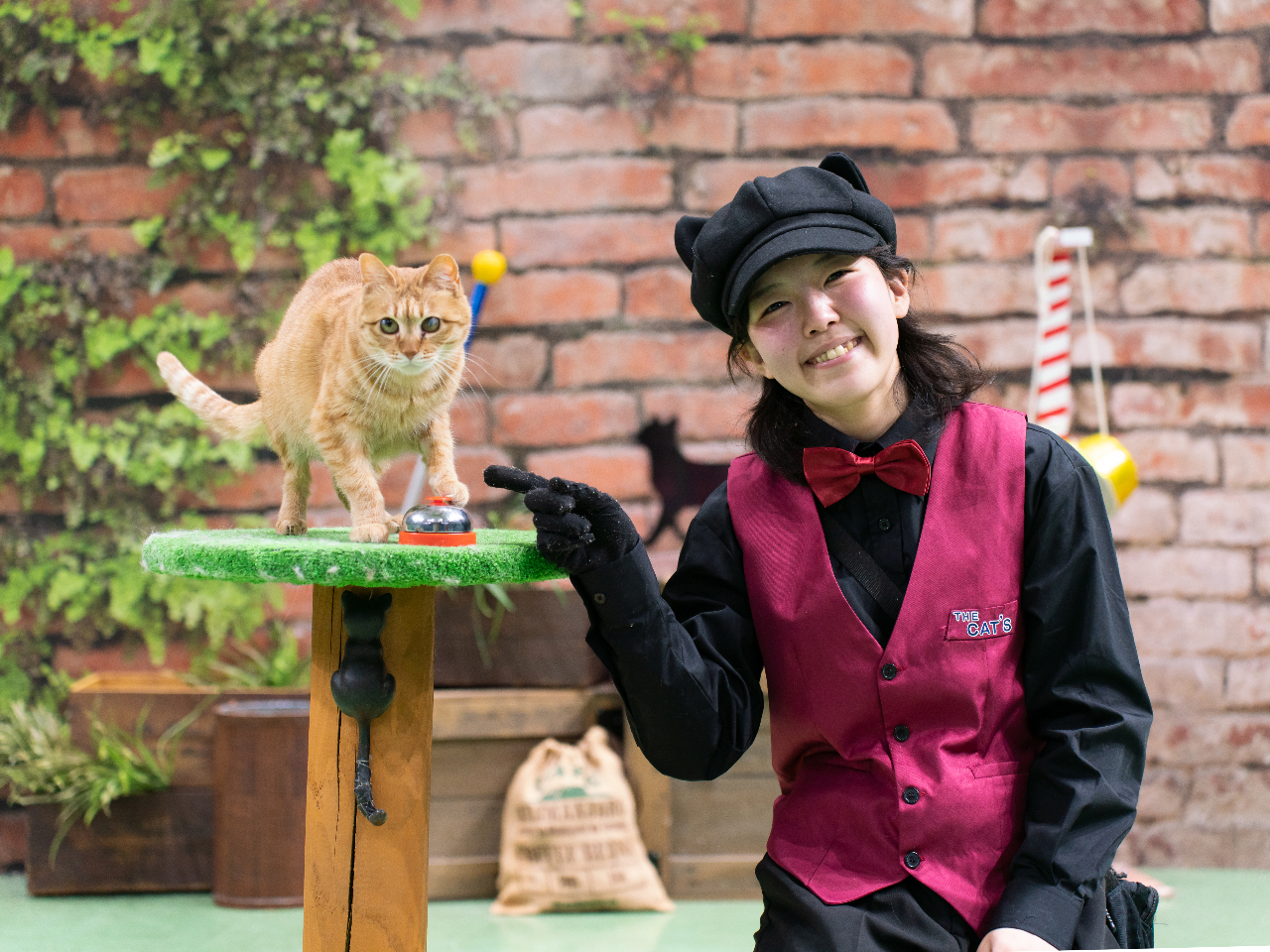 「ザ・キャッツ」ねこ本来の能力をご覧ください。