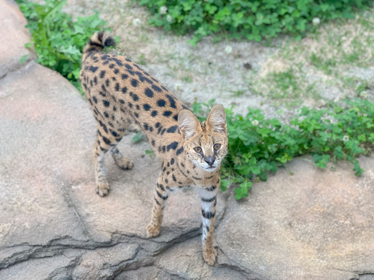 �T�[�o���L���b�g���ԓ���I���񗈂Ăˁ`