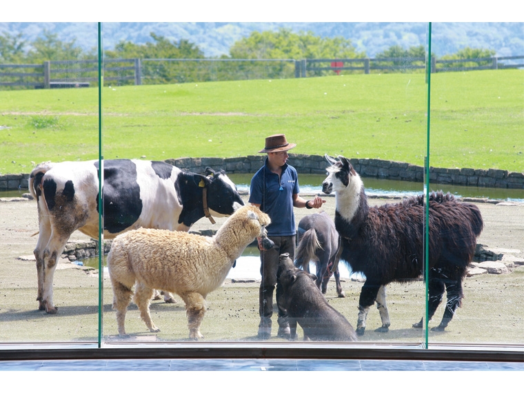 H35b 東京ドイツ村イルミネーションとマザー牧場ジンギスカン食べ放題 上野発 株式会社はとバス じゃらん遊び体験