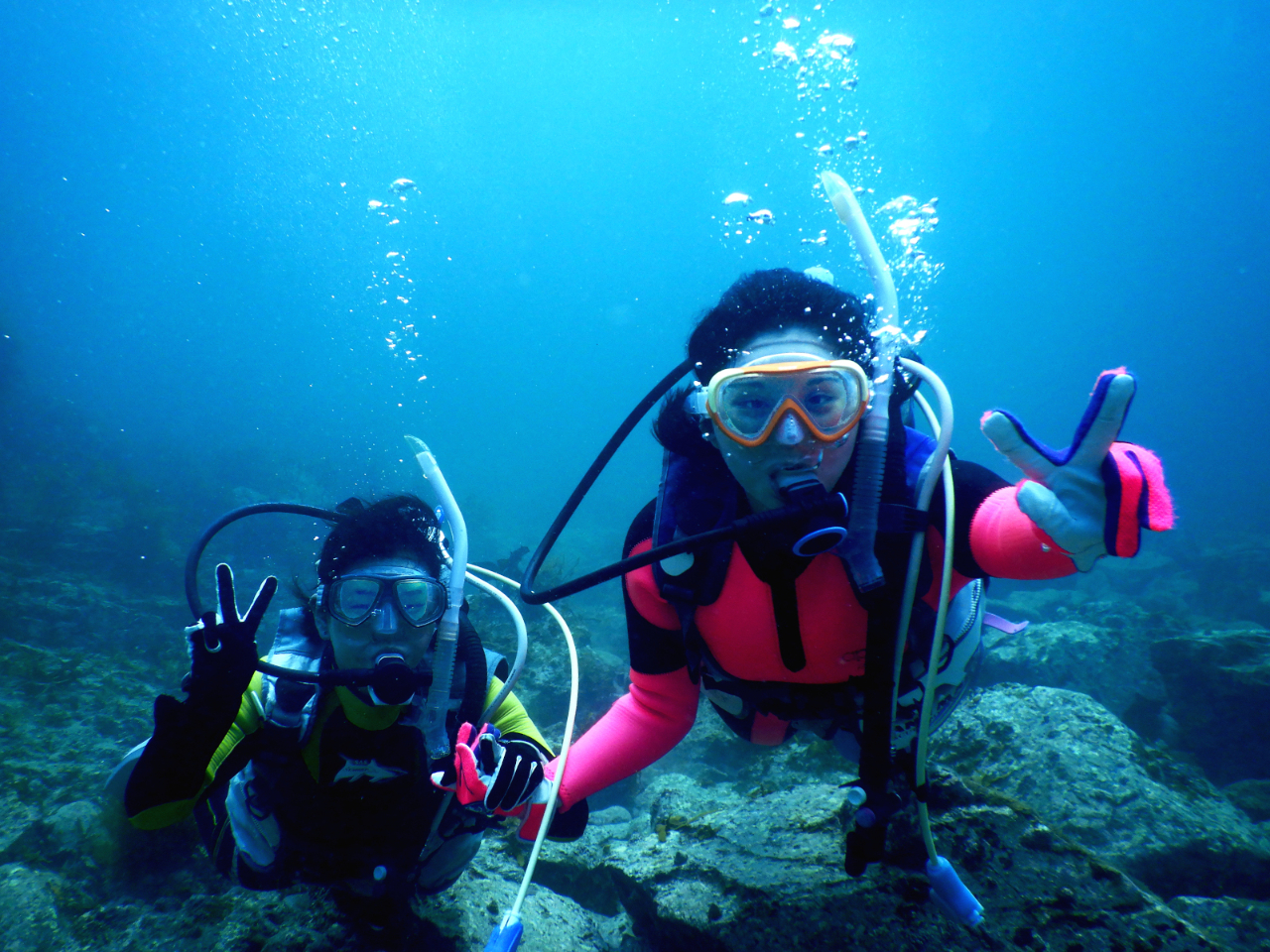 P0002EE148.jpg?v=1&size=