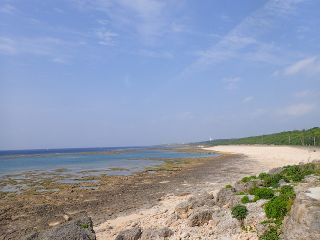 シュノーケルツアー 糸満の天然ビーチで気軽にシュノーケリング 2名様以上プラン R Mates Okinawa Diving Club じゃらん遊び体験