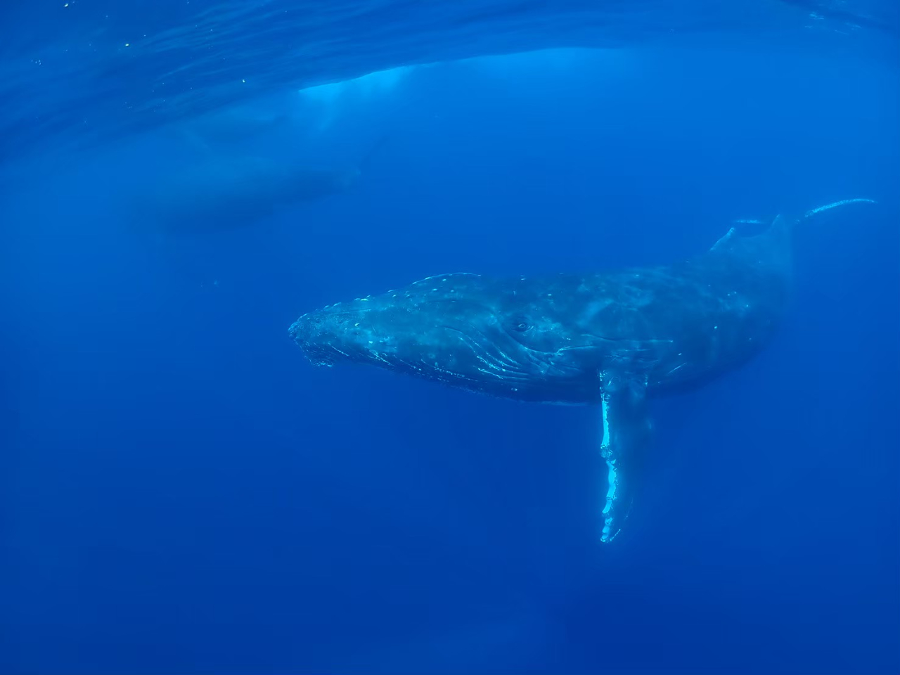 ����ȂɊԋ߂Ŗڂ��������Ƃ��c