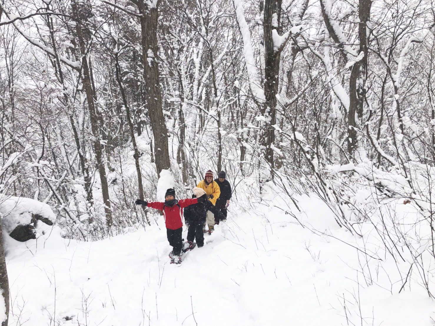そりを使ったスライダーや、雪に思いっきりダイブしたりなど、雪にまみれて本気になってはしゃいだり。癒しと遊びが一体になった、魅力いっぱいのツアーです。
