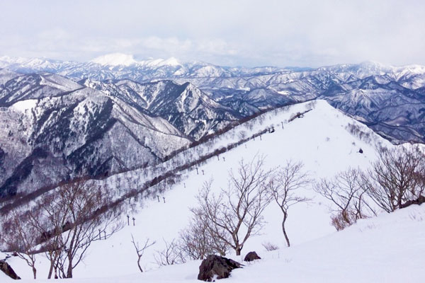 コースによっては、谷川連邦が一望できる絶景ポイントへもご案内!?