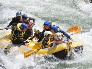 日本一の流域面積を誇る利根川の源がここ、みなかみ!透き通るほど美しい川は、マイナスイオンたっぷり!