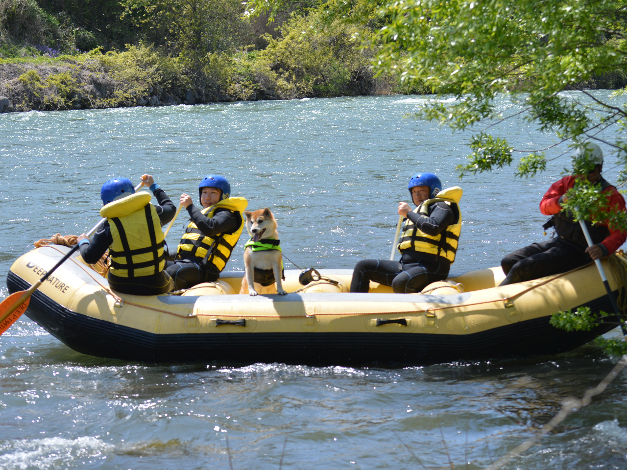 �����₩�ȏꏊ������܂�